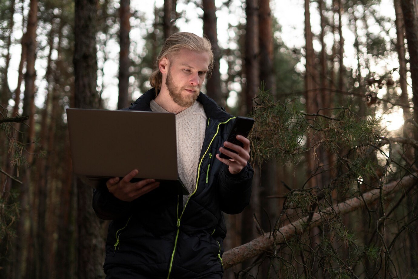 The Future of AI in Forestry