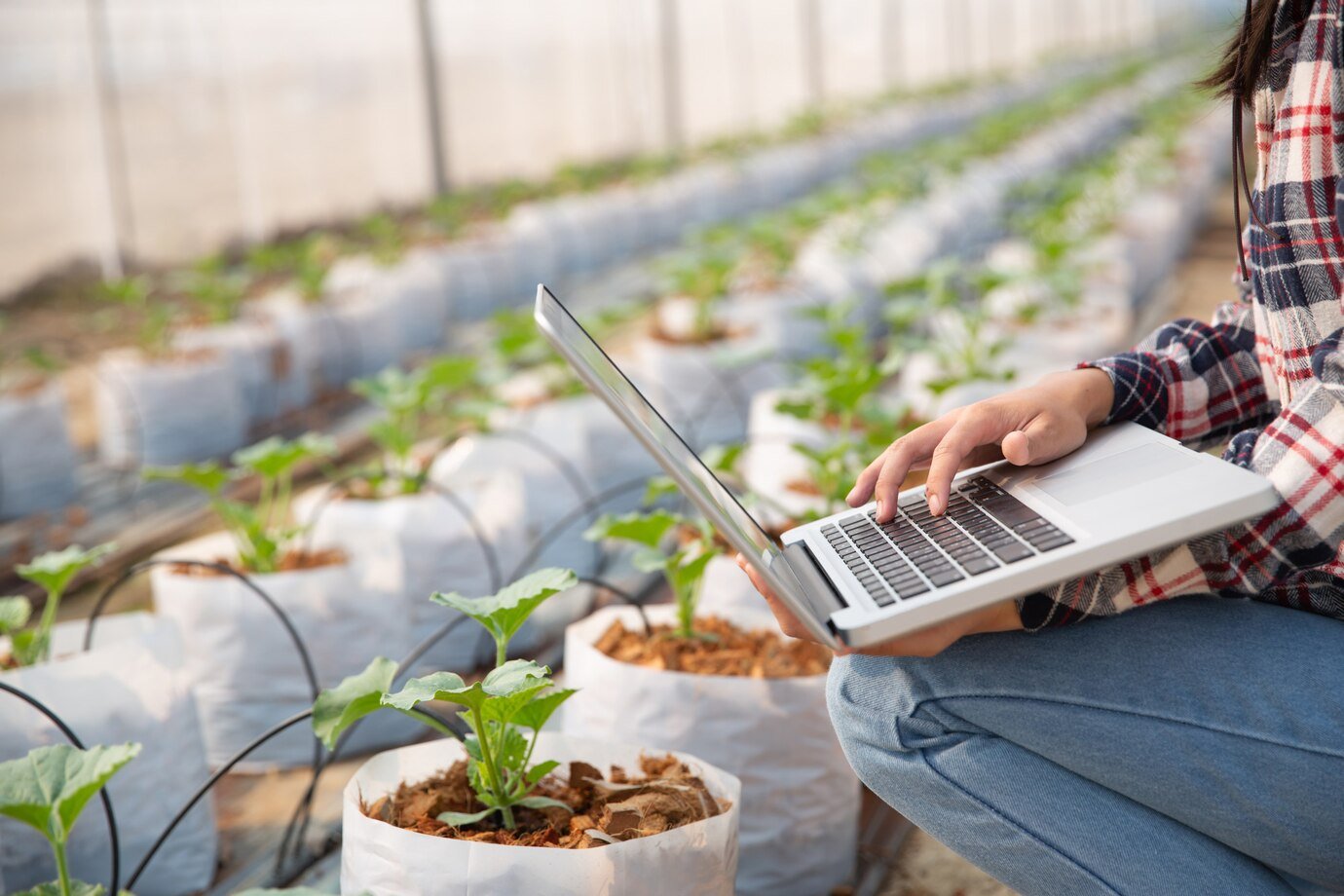 the future of AI in agriculture